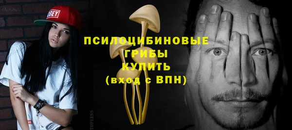 прущие грибы Алзамай