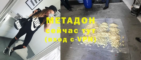 прущие грибы Алзамай