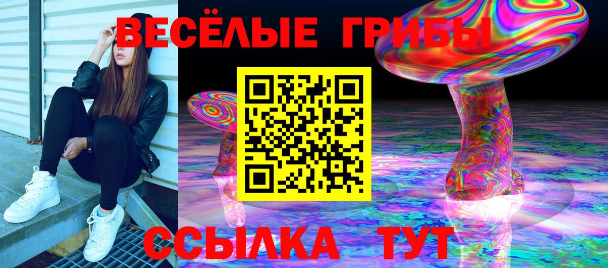 Галлюциногенные грибы Psilocybine cubensis  Вход с VPN  Жуковский  Псилоцибиновые грибы Psilocybe 