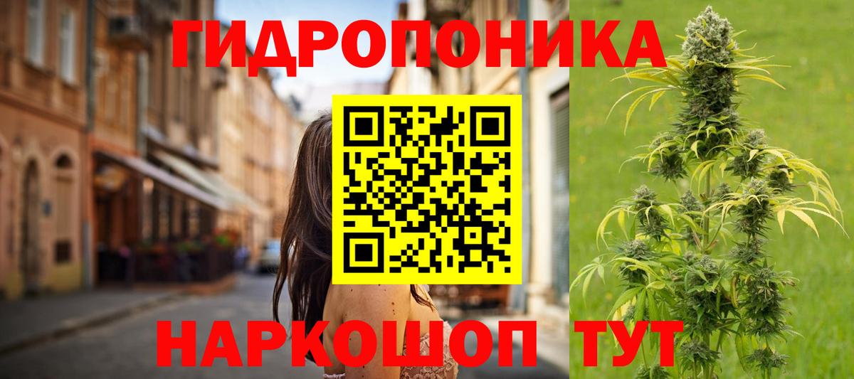 Каннабис план  Бошки марихуана планчик  Жуковский  Вход с VPN 